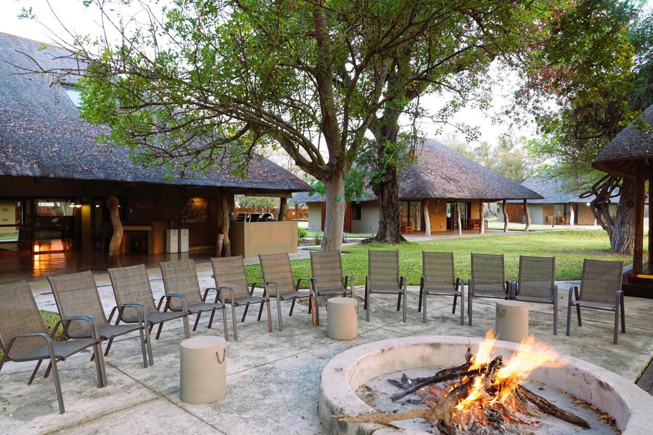 Senalala Safari Lodge 클라세리 프라이빗 네이처 리저브 외부 사진