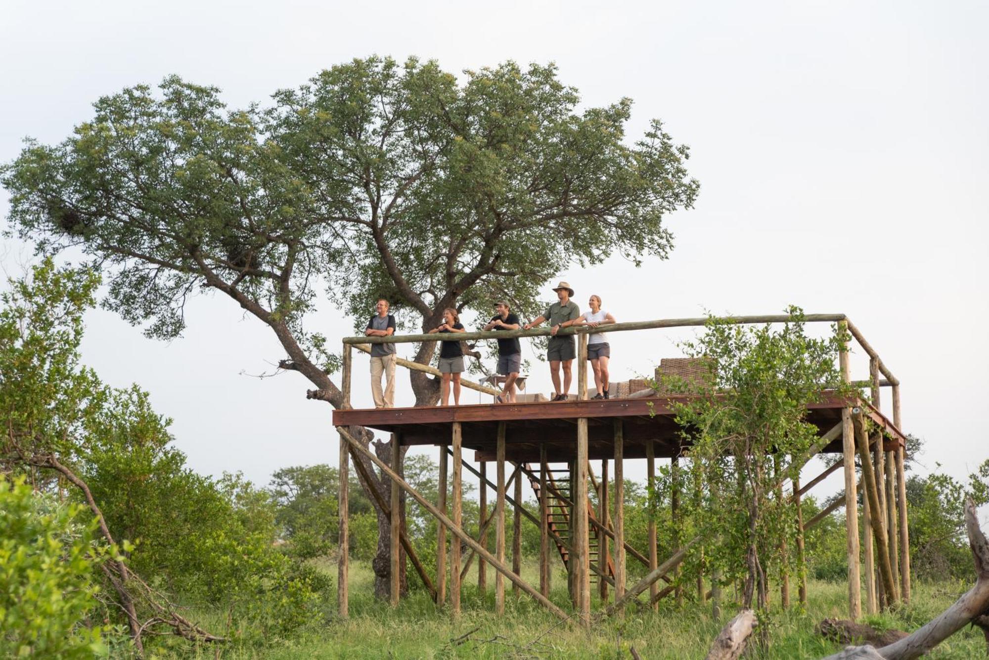 Senalala Safari Lodge 클라세리 프라이빗 네이처 리저브 외부 사진
