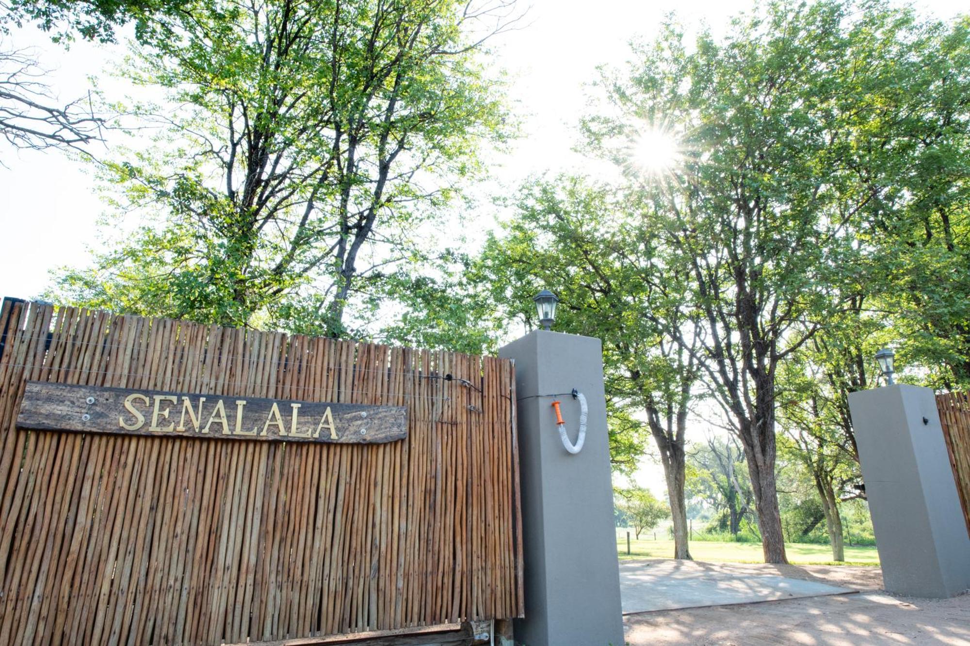 Senalala Safari Lodge 클라세리 프라이빗 네이처 리저브 외부 사진