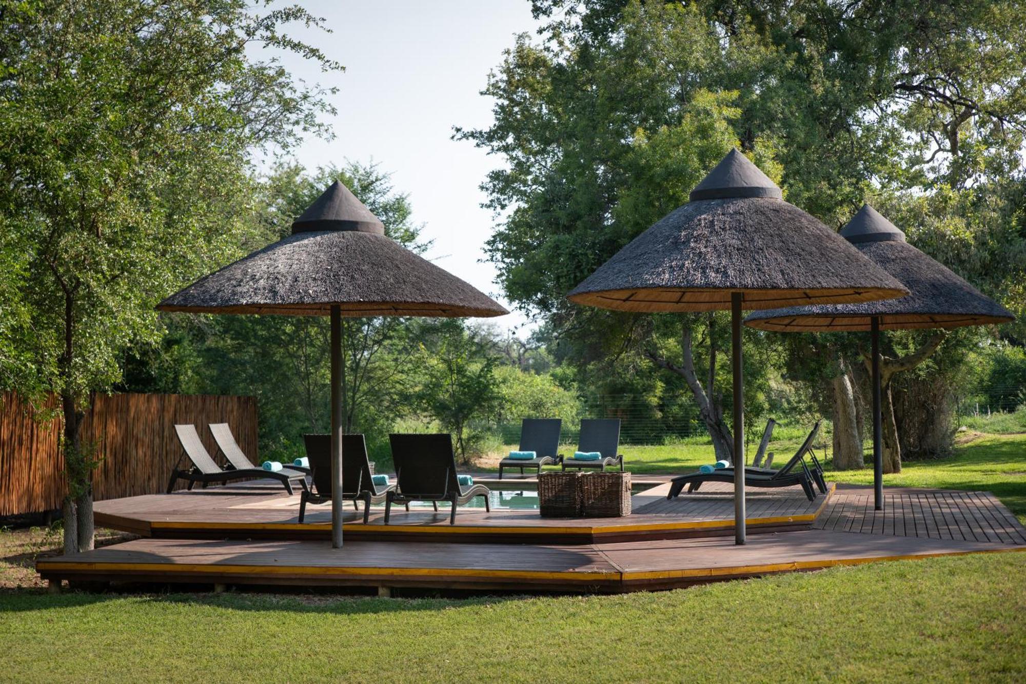 Senalala Safari Lodge 클라세리 프라이빗 네이처 리저브 외부 사진
